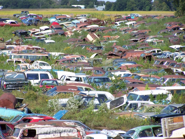 Some junkyard pics Bridle10