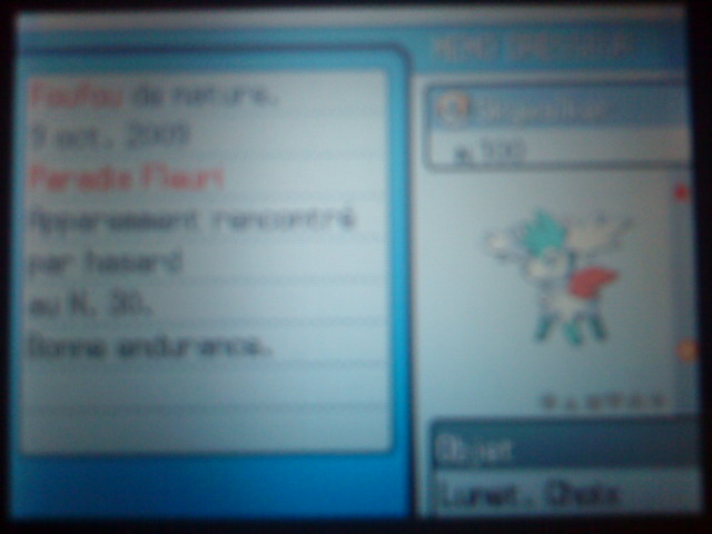 Your first Shiny :) - Page 27 Dsc00412