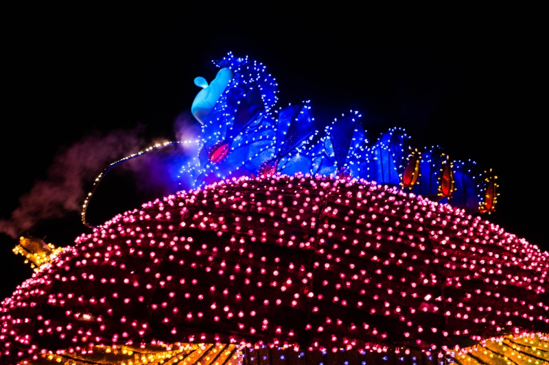 Once upon a christmas time: WDW, DCL, et Universal vu par 2 lyonnais du 01 au 20 novembre 2015 [Dernière MàJ: 02/06/16]  - Page 16 Dsc_4811