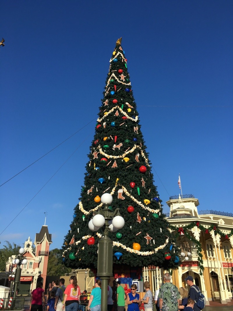 Je - Once upon a christmas time: WDW, DCL, et Universal vu par 2 lyonnais du 01 au 20 novembre 2015 [Dernière MàJ: 02/06/16]  - Page 10 Img_6616