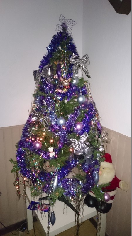 Je donne l'exemple notre sapin aux titous et à moi Sapin_11