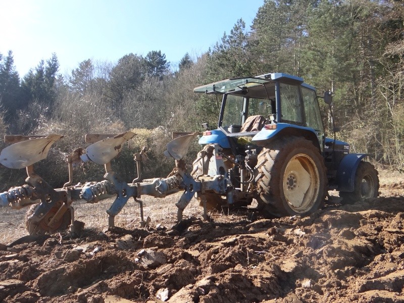 ransomes....le travail de la terre Dsc04210