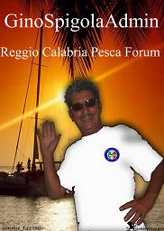 REGOLAMENTO UFFICIALE DEL FORUM-->LEGGETE ATTENTAMENTE Gino_s10
