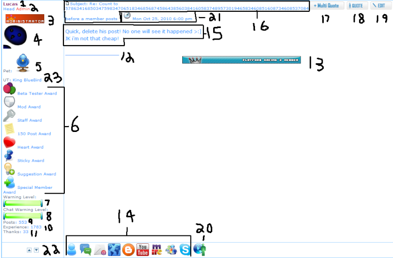 A Profile Walkthrough Post_t11