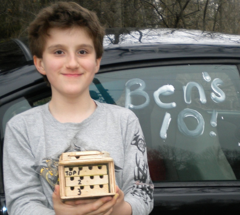 Mason bees Ben-be10