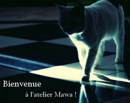 Mawa's workshop || Fermer || Cat_by10