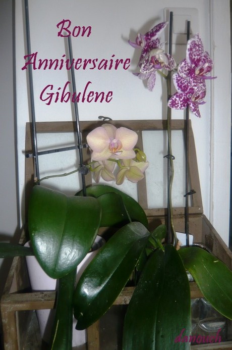 ici votre date de naissance - Page 15 Annigi11