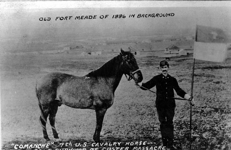 Curley, réputé pour être le seul survivant coté US de la bataille de Little Big Horn D0000010