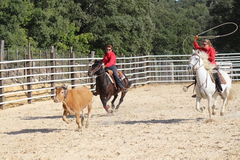 Stage de ROPING à ST DEZERY 30190 Roping10