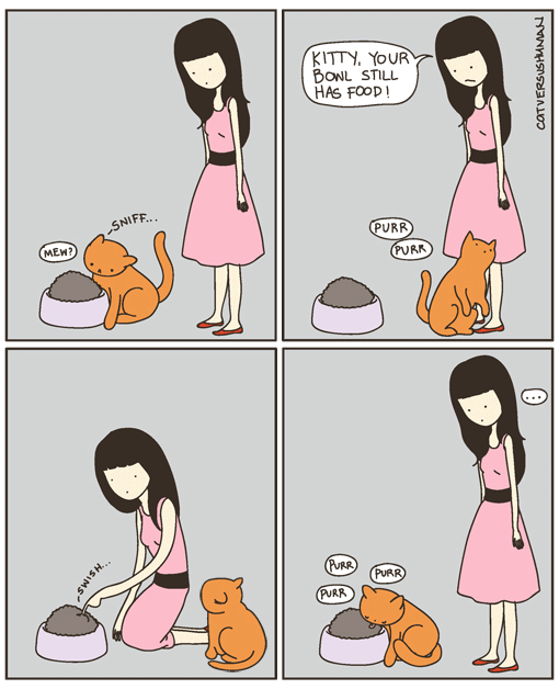Nos chats, chiens, serpents, perroquets... - Page 3 Cat-vs10