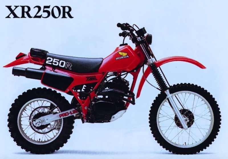 Les petites XR - 250 cc Xr250-11