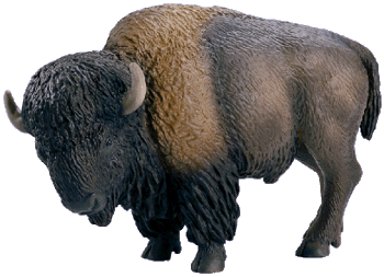 Mojo Bison and Black Panther Sc143410