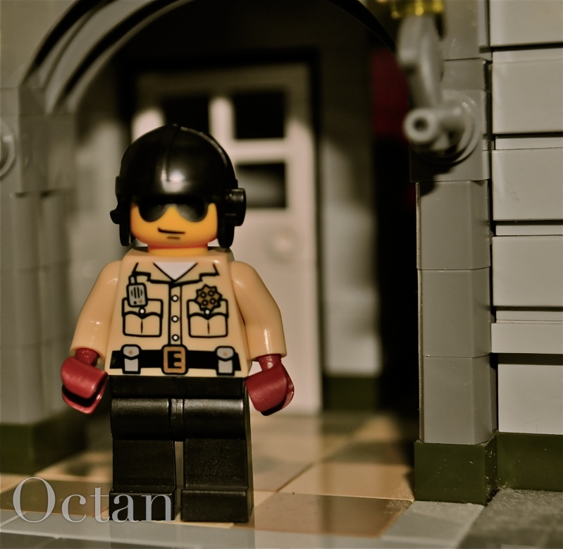 Lego Photography Contest Cop-pi11