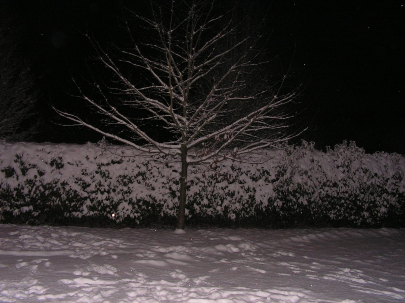 balade - neige - photos Pict0014