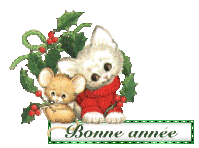 Bonne année 2016 12_bon10