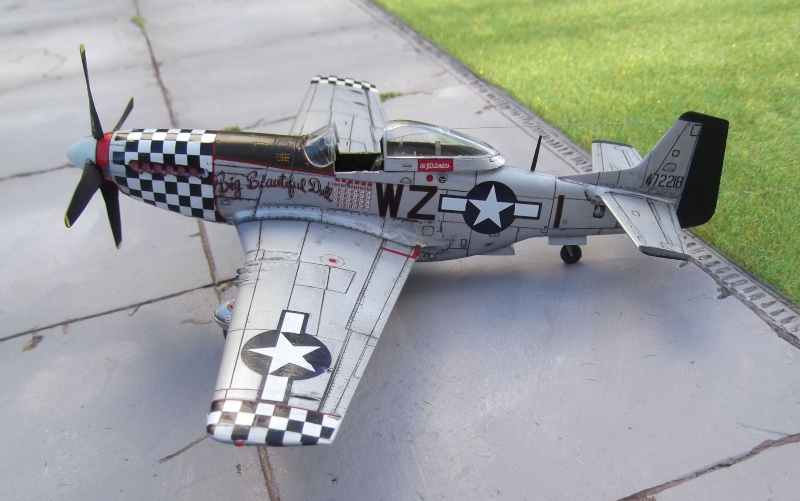 MUSTANG P 51 D Tam110