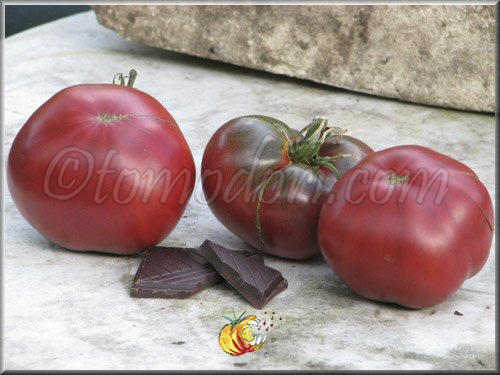 Tomates - Page 25 Cherok10