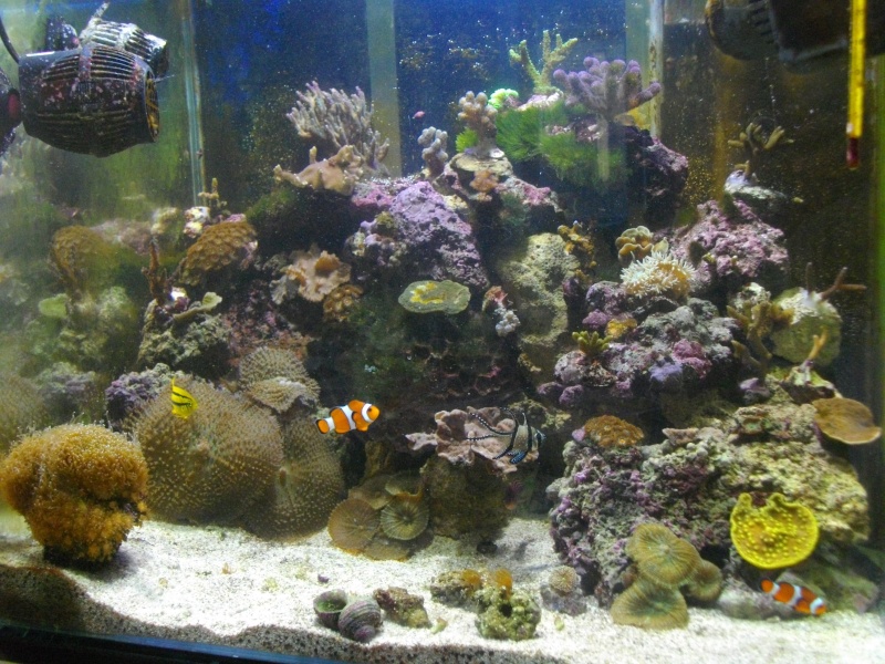 mon 150 litres Imgp1210