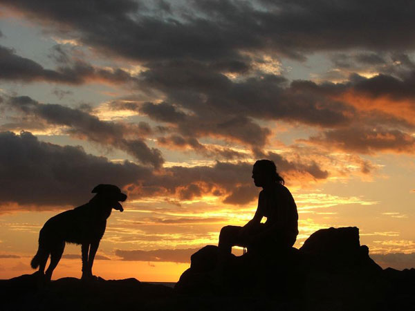 Il Vecchio e il Cane Cane-u10