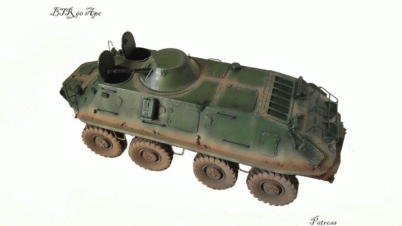 BTR 60 APC ( verlinden  1/35eme ) - Page 2 Patros14