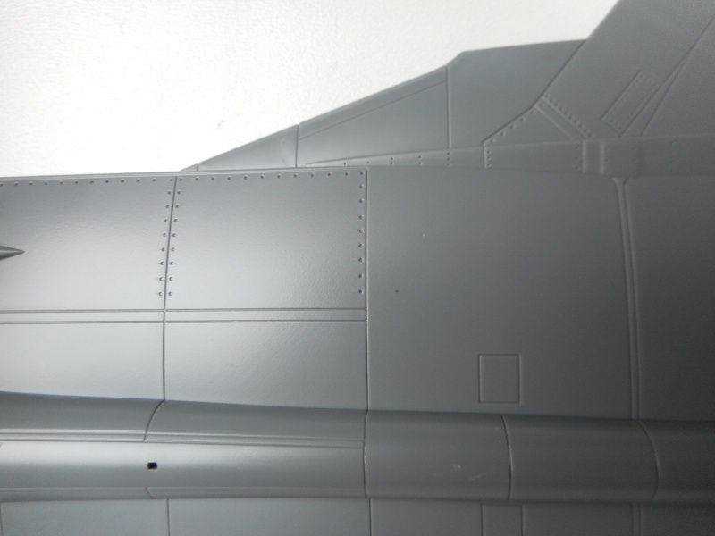 Mig 31 - AMK - 1/48 Dscn9523