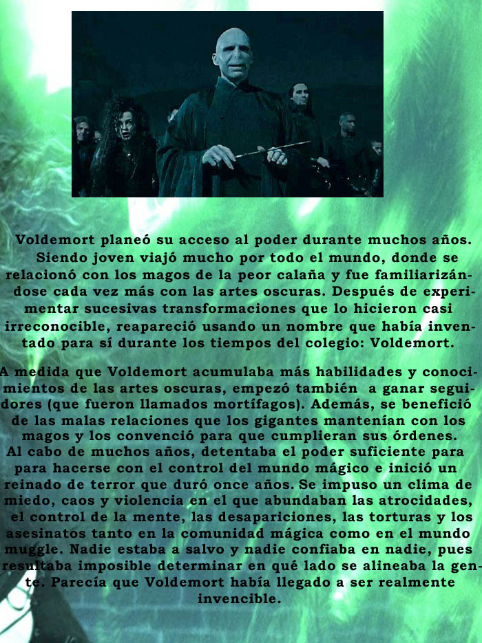 El primer reinado de terror de Lord Voldemort Histor11