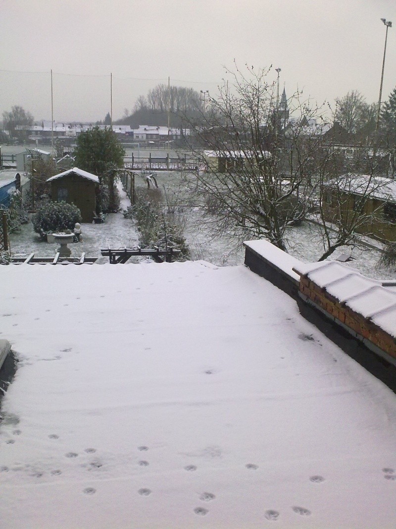 la neige en Belgique!! 30nov211