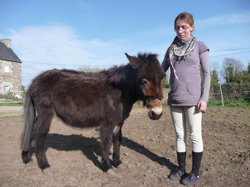 BABOUCHE (mule née en 2007) P1060018