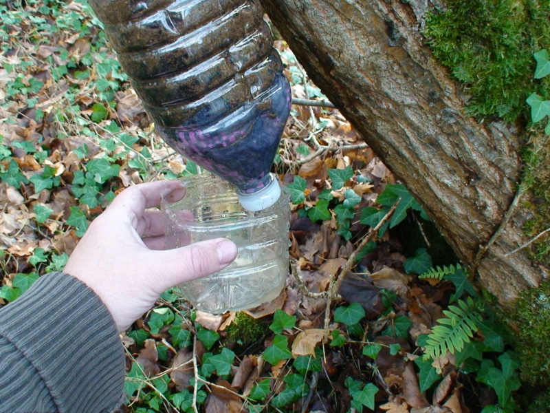 [Techniques] Purifier de l'eau Dsc02529