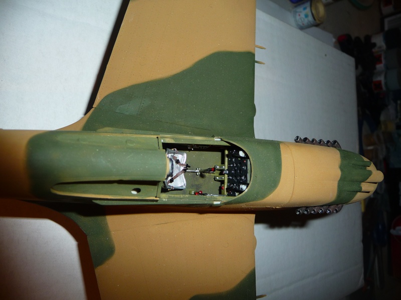 CURTISS P-40B 1/32eme trumpeter P1010486