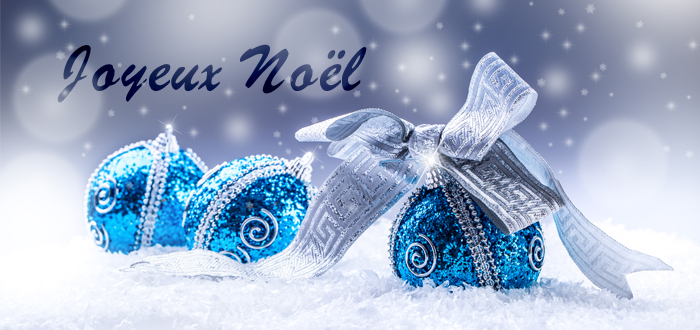 LE COIN DE NOEL.... - Page 32 Joyeux11