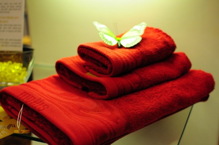 Bộ khăn chất liệu đặc biệt (Mollis Extra Towels) 16263411