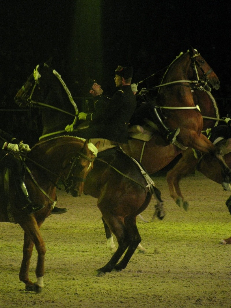 Les chevaux du Cadre Noir de Saumur à Lens Img_6419