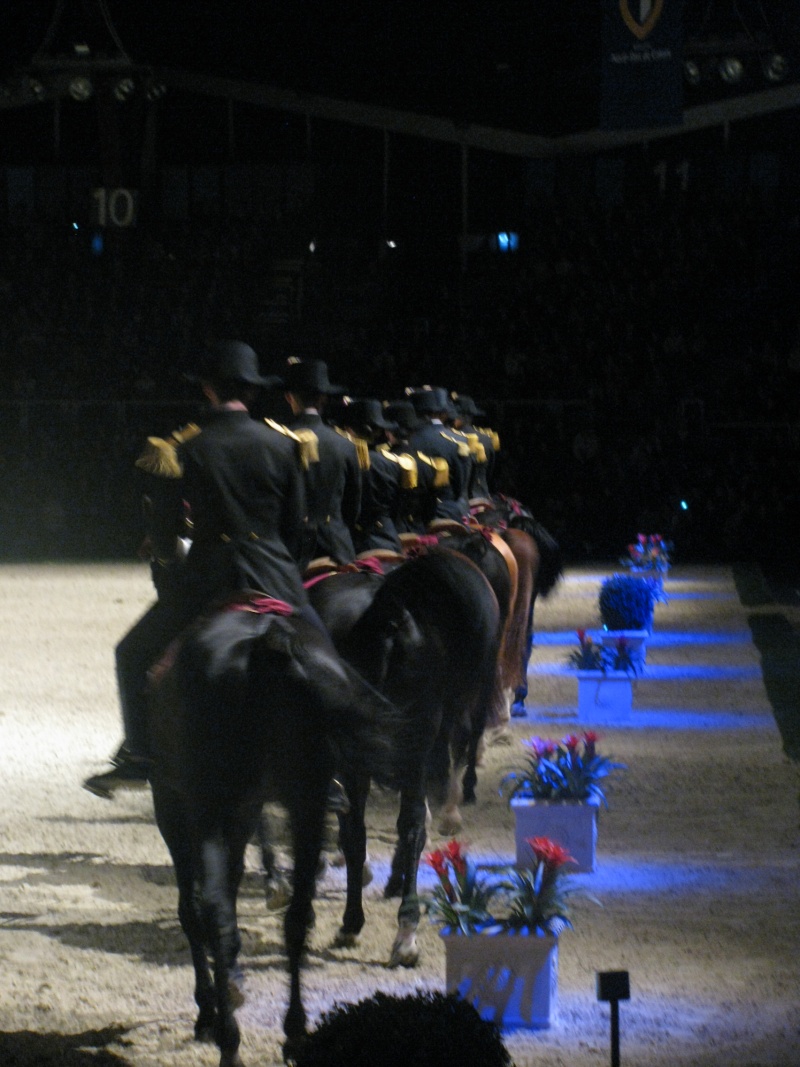 Les chevaux du Cadre Noir de Saumur à Lens Img_6512