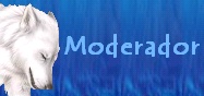 Moderador Moderador