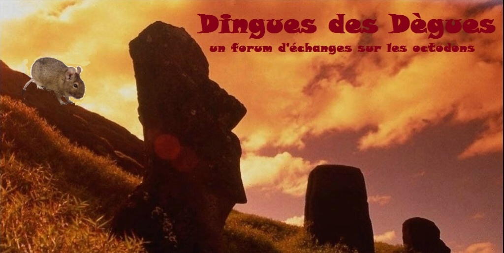 Dingues Des Dègues