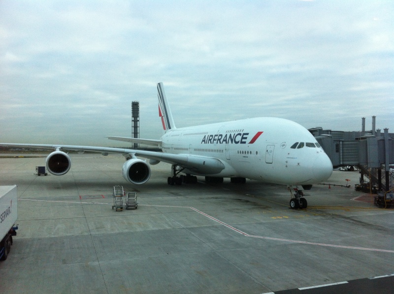 Goofy Unicorn en solo, DLR et WDW Décembre 2015 - Page 3 A380-010
