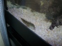 Mon 90L de nos cotes 100_0412