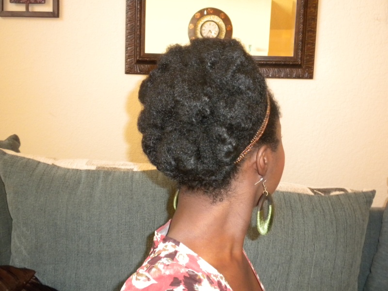 FunkyHairChic:  Cute Bun Style AND Mini Product Review!!! - Page 4 Dscn7011