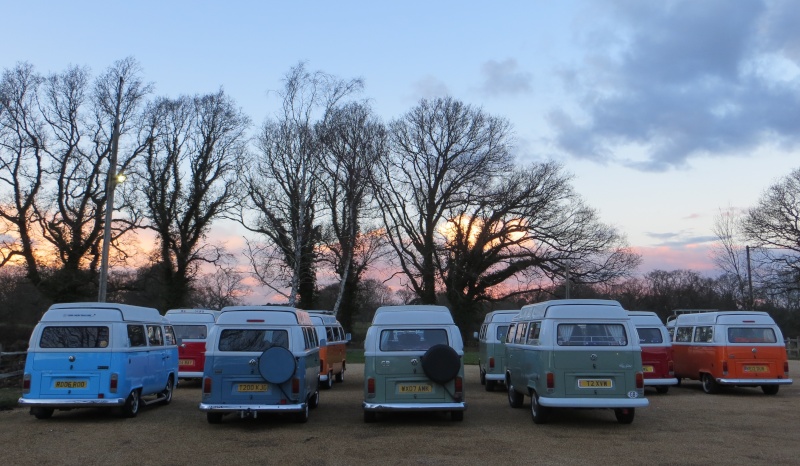 1 day KOMBI Konvoy 2016 - Sat 20th Feb - to Goodwood Race Circuit, West Sussex - Page 3 12cut110