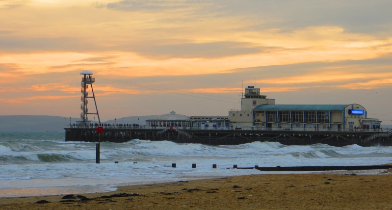 Bournemouth Bay Out Scooby13