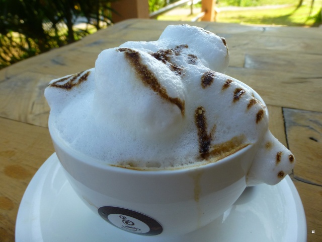 Boire un cappuccino en Thaïlande ! Paysag23