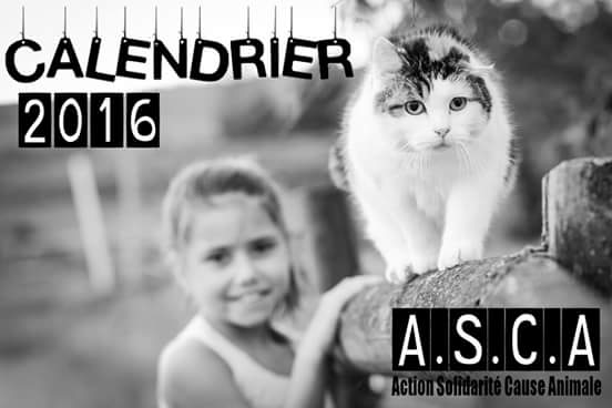 CALENDRIERS 2016 - ASSOCIATION ASCA - Asca_210