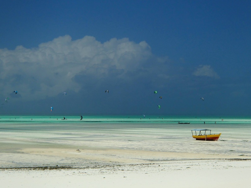 Départ pour Zanzibar le 14 Janvier Image34