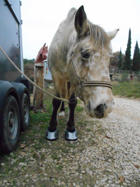 Pieds nus...prête à sauter le pas! - Page 7 Dscn0529