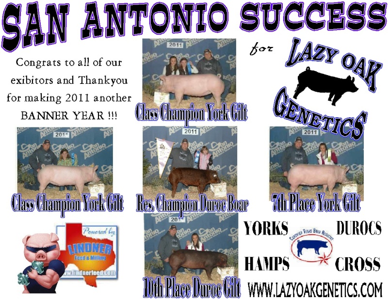 San Antonio JR Gilt Show & Open Show Winners Succes10