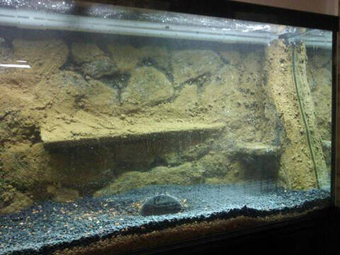 Download 680+ Background Aquarium Styrofoam HD Terbaru