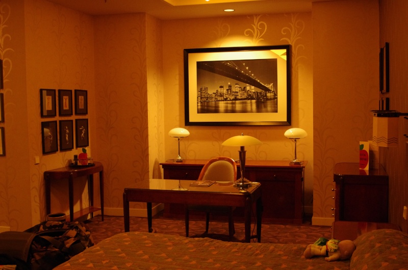 TR 10-12/01 dans la suite Vanderbilt  a l’hôtel New York Inoubliable *vidéo bonus P.4* Imgp3221