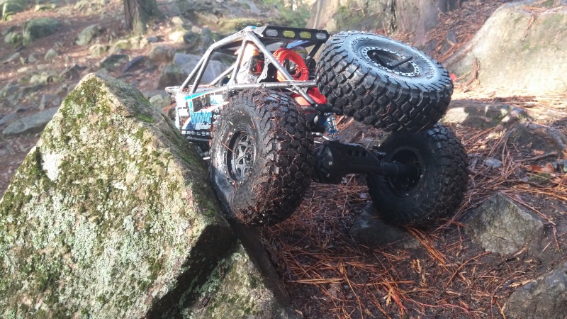 axial rr10 bomber VENDU ET VIVE LE GELANDE 2  2015-129