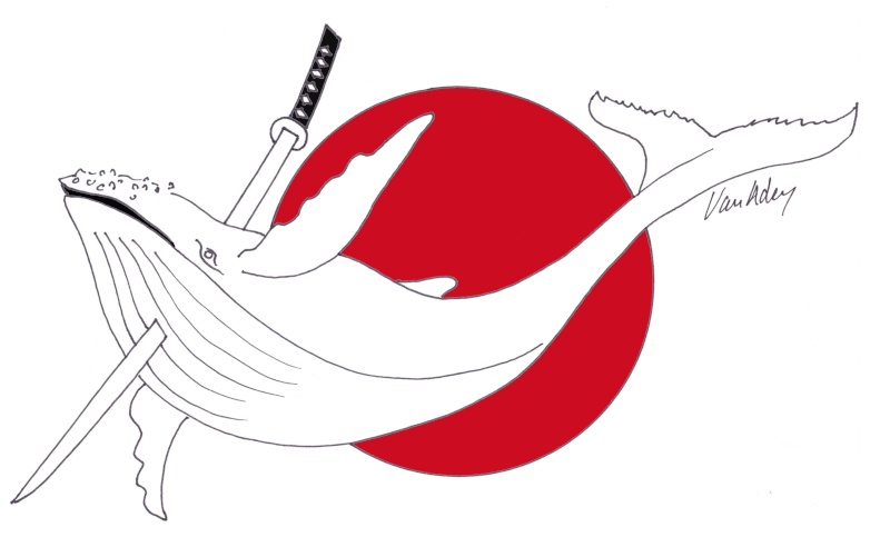 Les japonais, massacreurs de baleines  Balein10